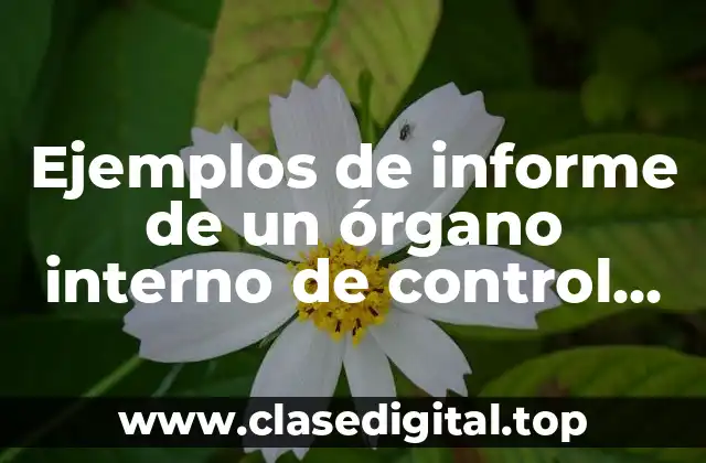 Ejemplos de informe de un órgano interno de control ISSSTE