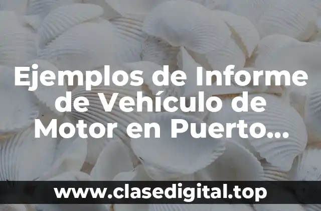 Ejemplos de Informe de Vehículo de Motor en Puerto Rico