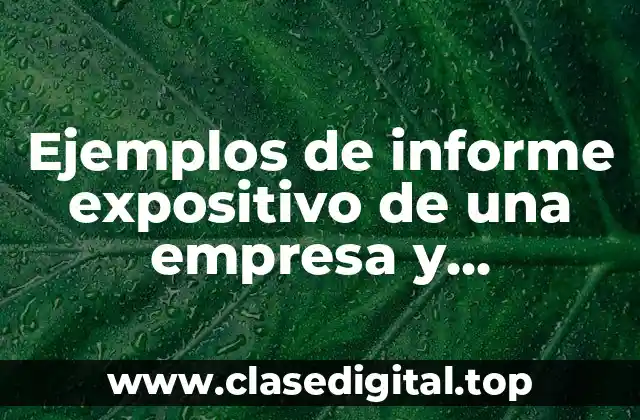 Ejemplos de informe expositivo de una empresa