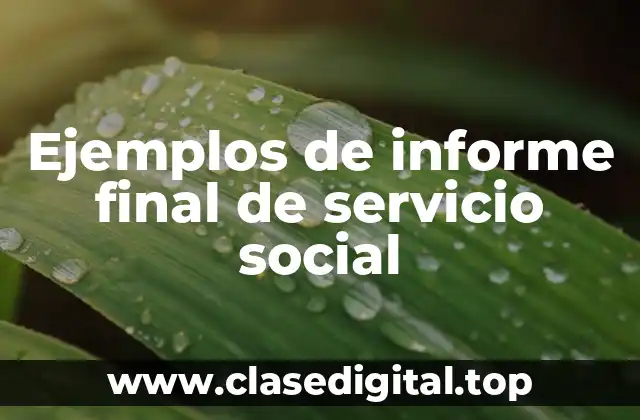 Ejemplos de informe final de servicio social