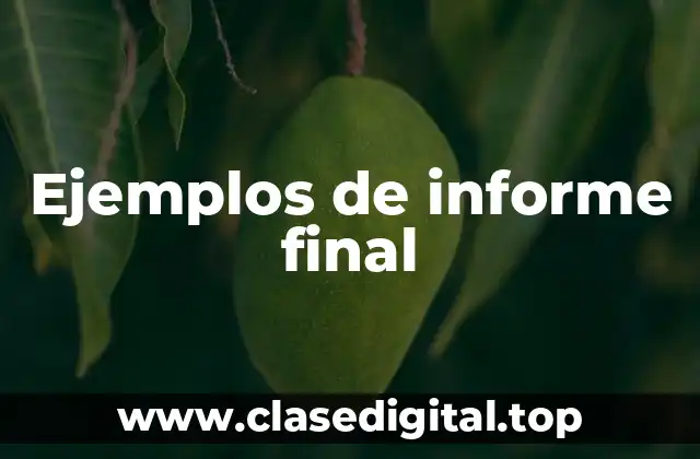 Ejemplos de informe final