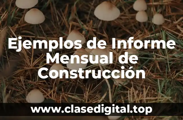 Ejemplos de Informe Mensual de Construcción