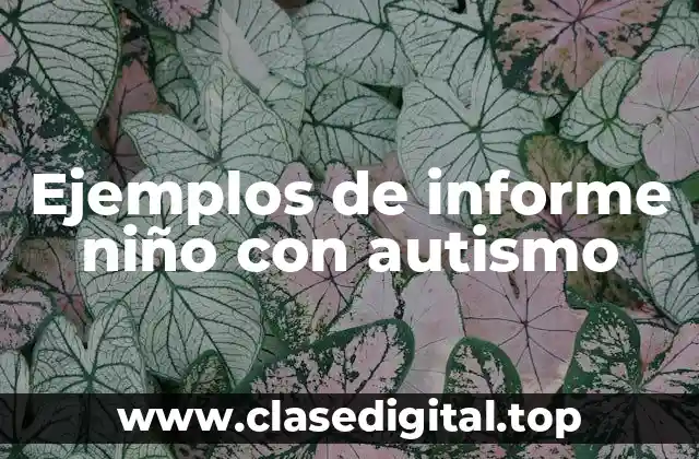 Ejemplos de informe niño con autismo