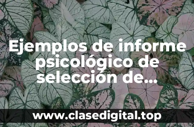 Ejemplos de informe psicológico de selección de personal
