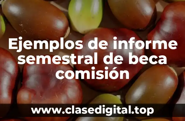 Ejemplos de informe semestral de beca comisión
