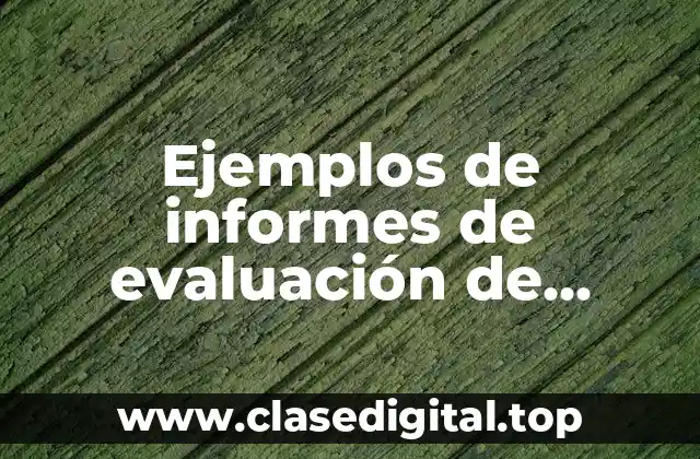 Ejemplos de informes de evaluación de proyectos sociales y Significado