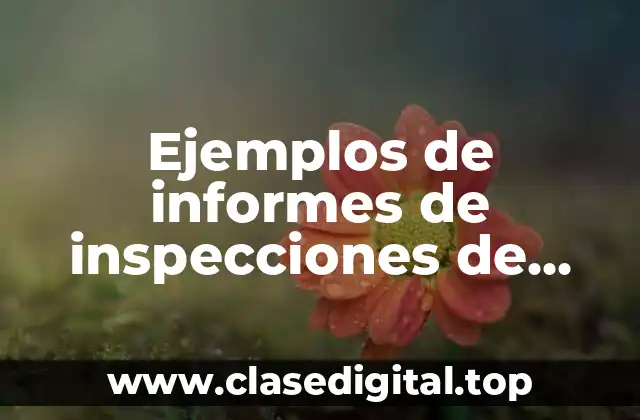 Ejemplos de informes de inspecciones de seguridad