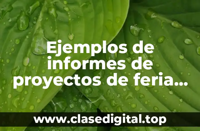 Ejemplos de informes de proyectos de feria de matemáticas primaria