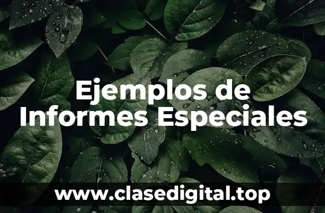 Ejemplos de Informes Especiales