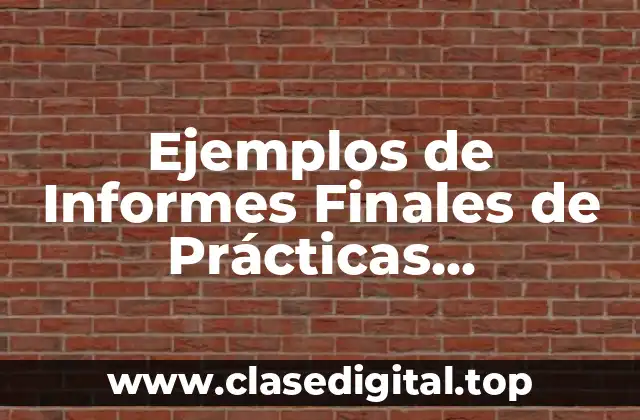 Ejemplos de Informes Finales de Prácticas Profesionales de Manuales