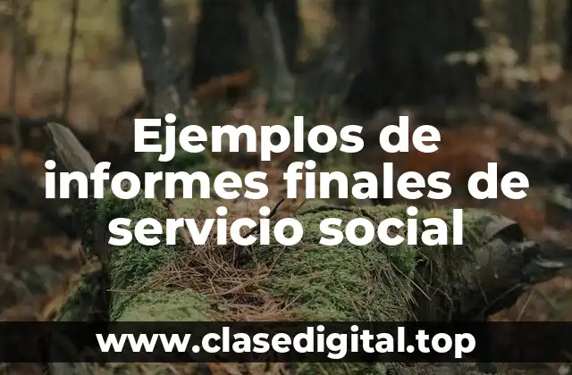 Ejemplos de informes finales de servicio social