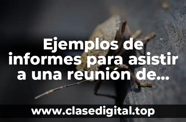 Ejemplos de informes para asistir a una reunión de trabajo