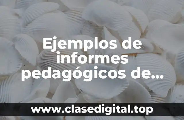 Ejemplos de informes pedagógicos de primaria
