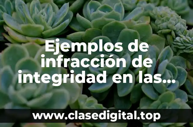 Ejemplos de infracción de integridad en las bases de datos y Significado