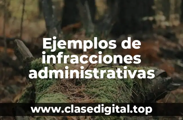 Ejemplos de infracciones administrativas