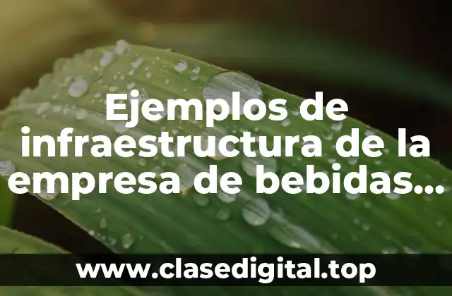 Ejemplos de infraestructura de la empresa de bebidas premixes y Significado