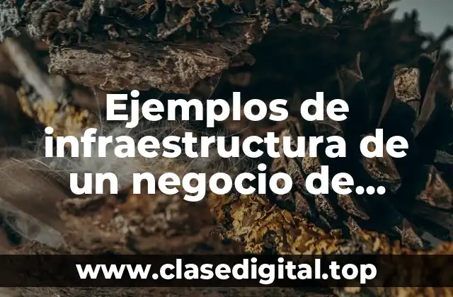 Ejemplos de infraestructura de un negocio de comida