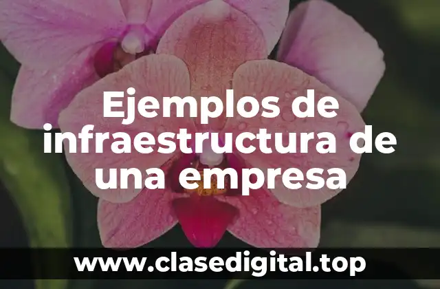 Ejemplos de infraestructura de una empresa