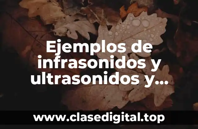 Ejemplos de infrasonidos y ultrasonidos y Significado