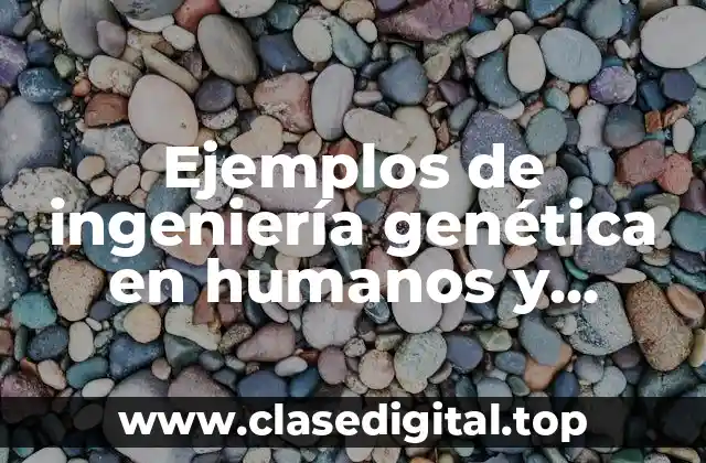 Ejemplos de ingeniería genética en humanos y Significado