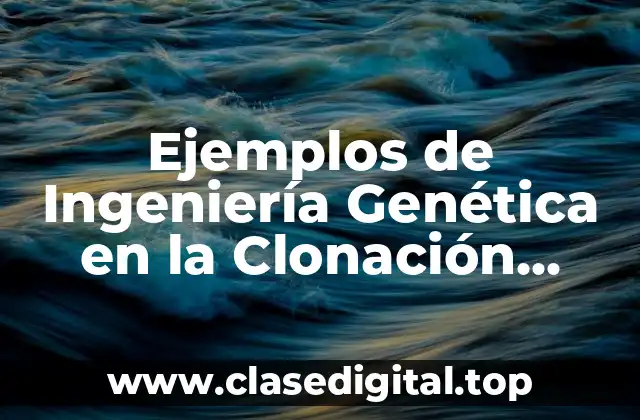 Ejemplos de Ingeniería Genética en la Clonación Humana