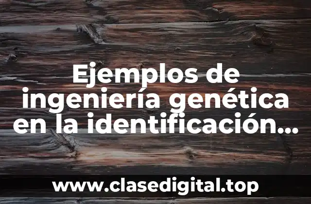 Ejemplos de ingeniería genética en la identificación personal