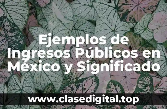 Ejemplos de Ingresos Públicos en México