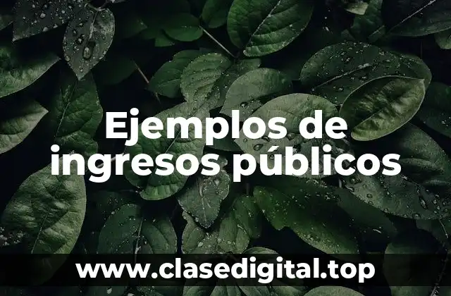 Ejemplos de ingresos públicos