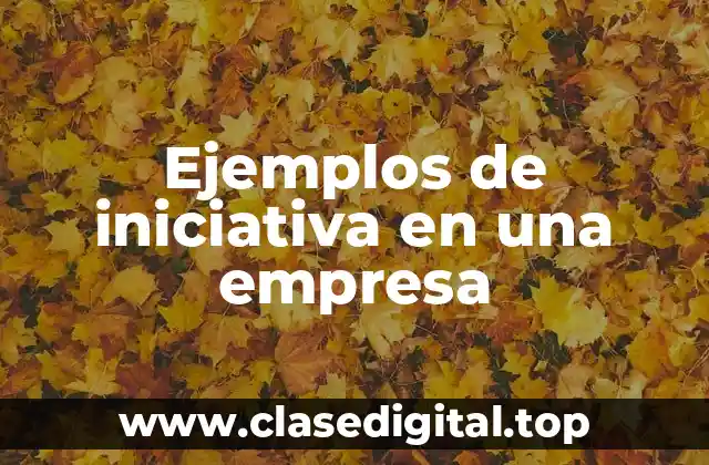 Ejemplos de iniciativa en una empresa