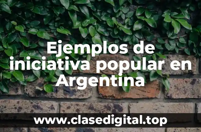 Ejemplos de iniciativa popular en Argentina