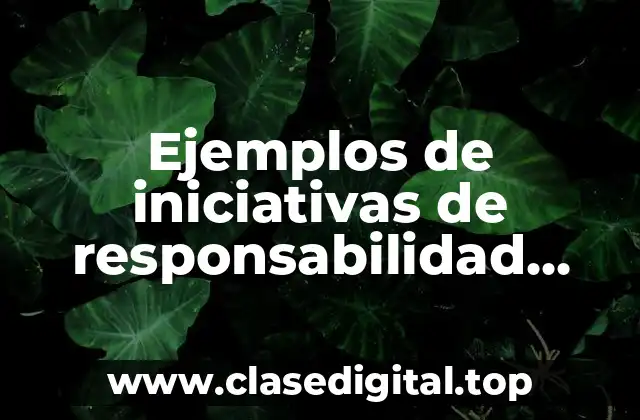 Ejemplos de iniciativas de responsabilidad social