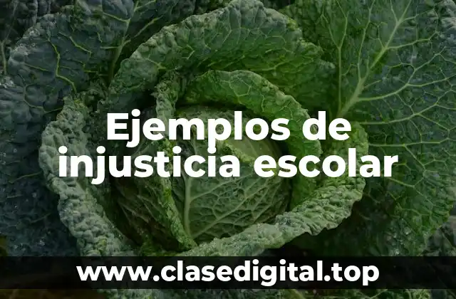 Ejemplos de injusticia escolar