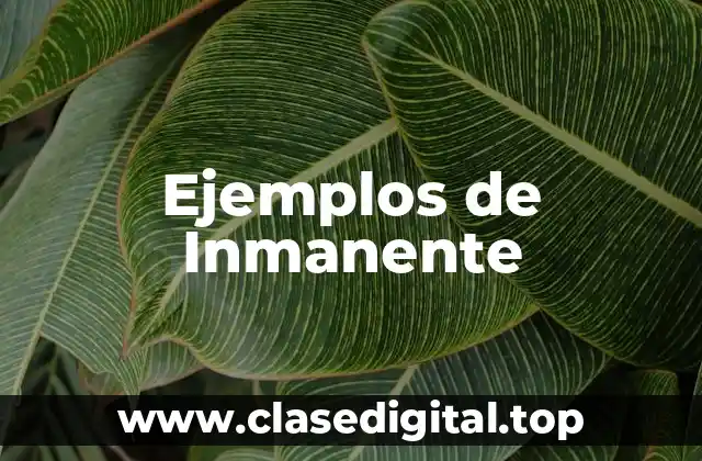 Ejemplos de Inmanente
