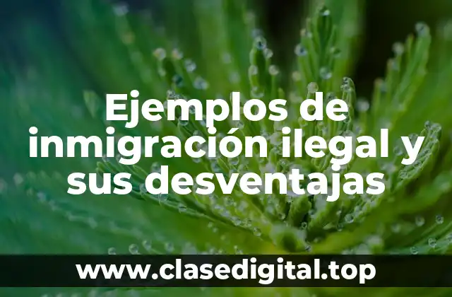 Ejemplos de inmigración ilegal y sus desventajas