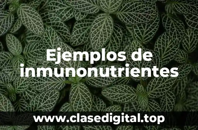 Ejemplos de inmunonutrientes