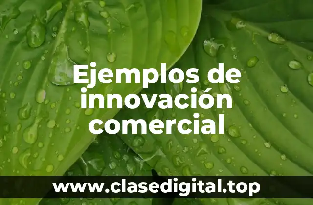 Ejemplos de innovación comercial