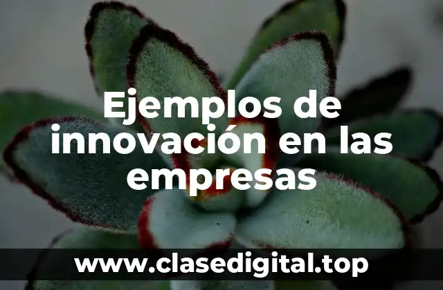 Ejemplos de innovación en las empresas