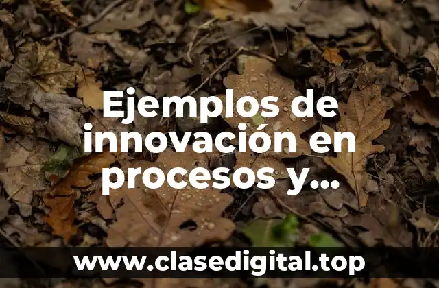 Ejemplos de innovación en procesos y Significado