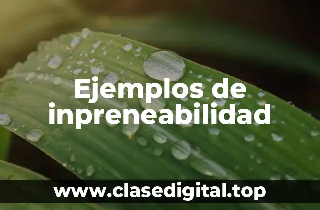Ejemplos de inpreneabilidad