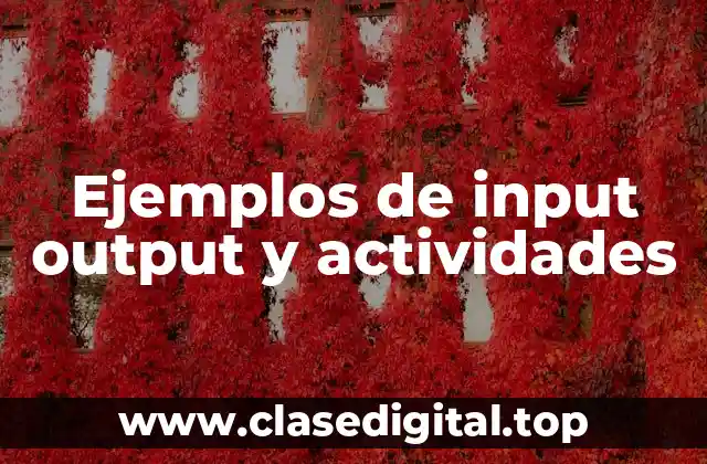 Ejemplos de input output y actividades