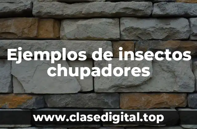 Ejemplos de insectos chupadores