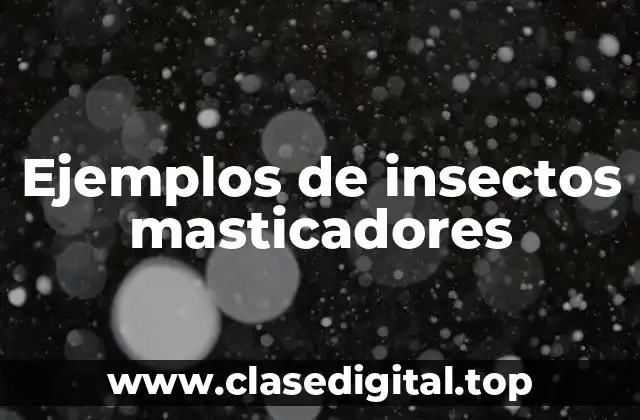 Ejemplos de insectos masticadores