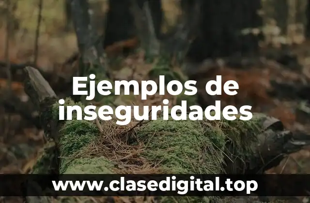 Ejemplos de inseguridades
