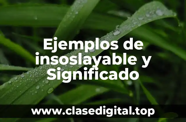 Ejemplos de insoslayable y Significado