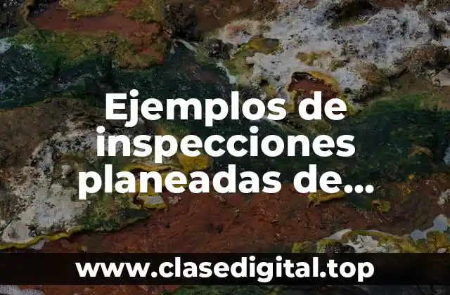 Ejemplos de inspecciones planeadas de seguridad