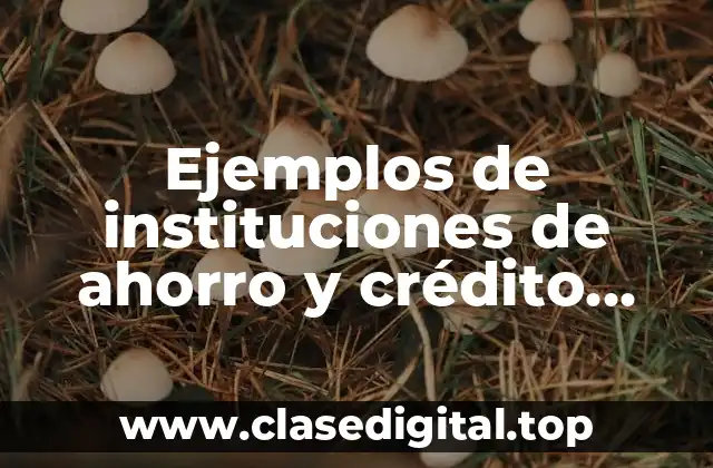 Ejemplos de instituciones de ahorro y crédito popular en México