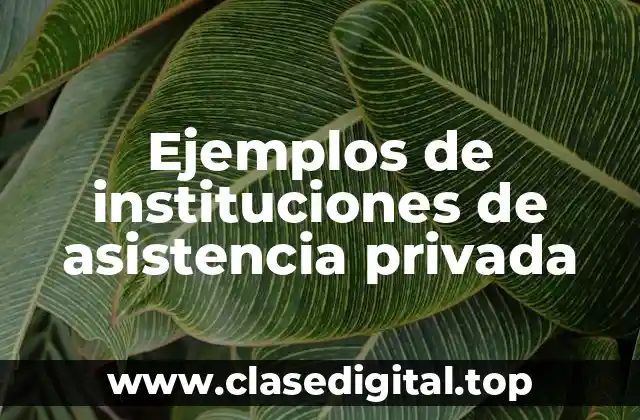 Ejemplos de instituciones de asistencia privada