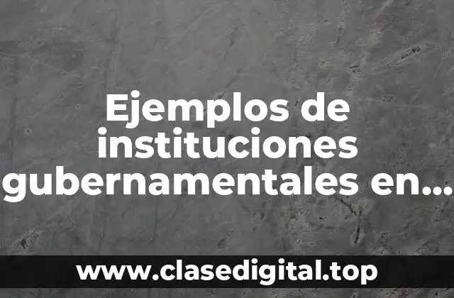 Ejemplos de instituciones gubernamentales en el ámbito económico