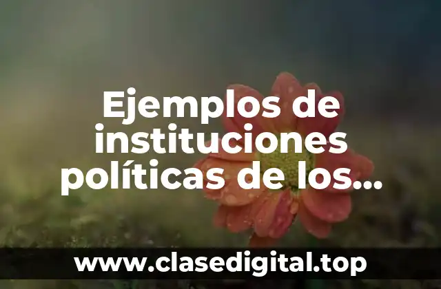 Ejemplos de instituciones políticas de los estados unidos mexicanos