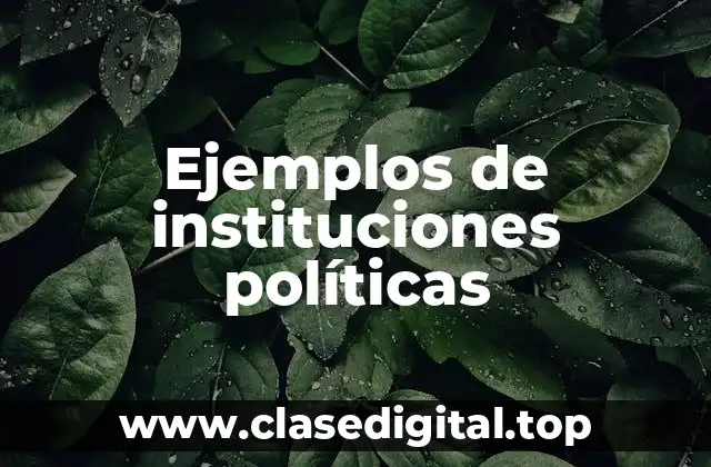 Ejemplos de instituciones políticas